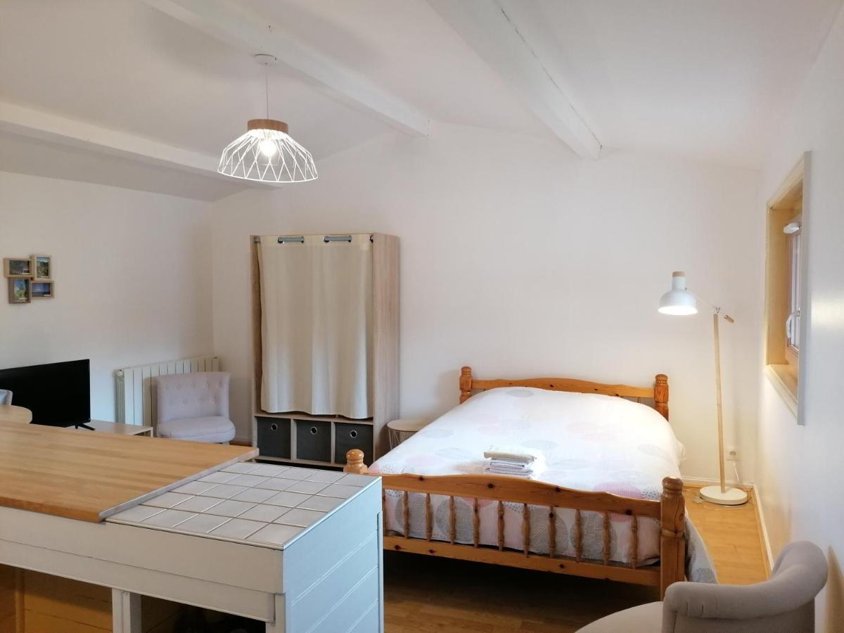Apartament Studio Avec Balcon Au Pied Du Rocher D'Aiguilhe Le Puy-en-Velay Zewnętrze zdjęcie